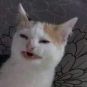 Meet your Posher, Estelle